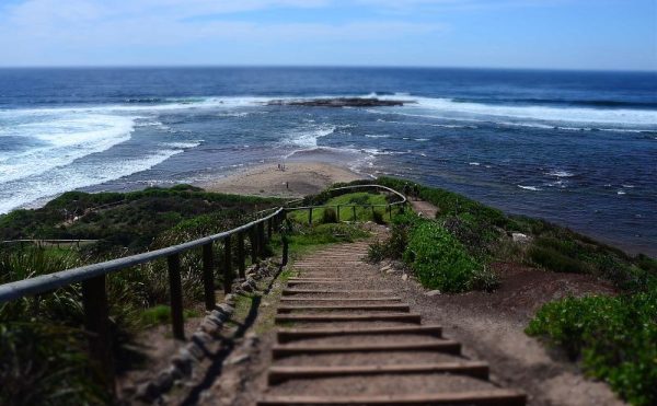 Long Reef Headland Coastal Walk in Sydney
