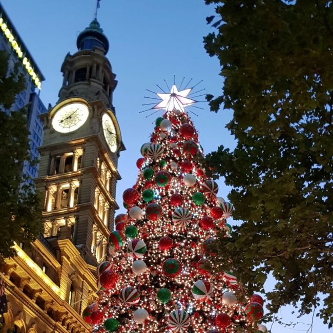 Ultimate Christmas in Sydney Guide to Events Sydney Expert