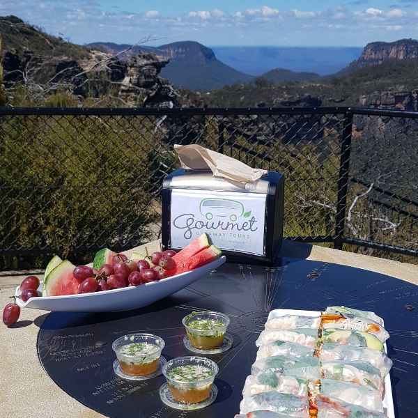 Blue Mountains Tour lookout