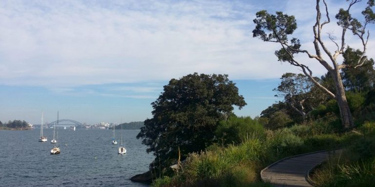 Easy Bushwalks in Sydney for Families
