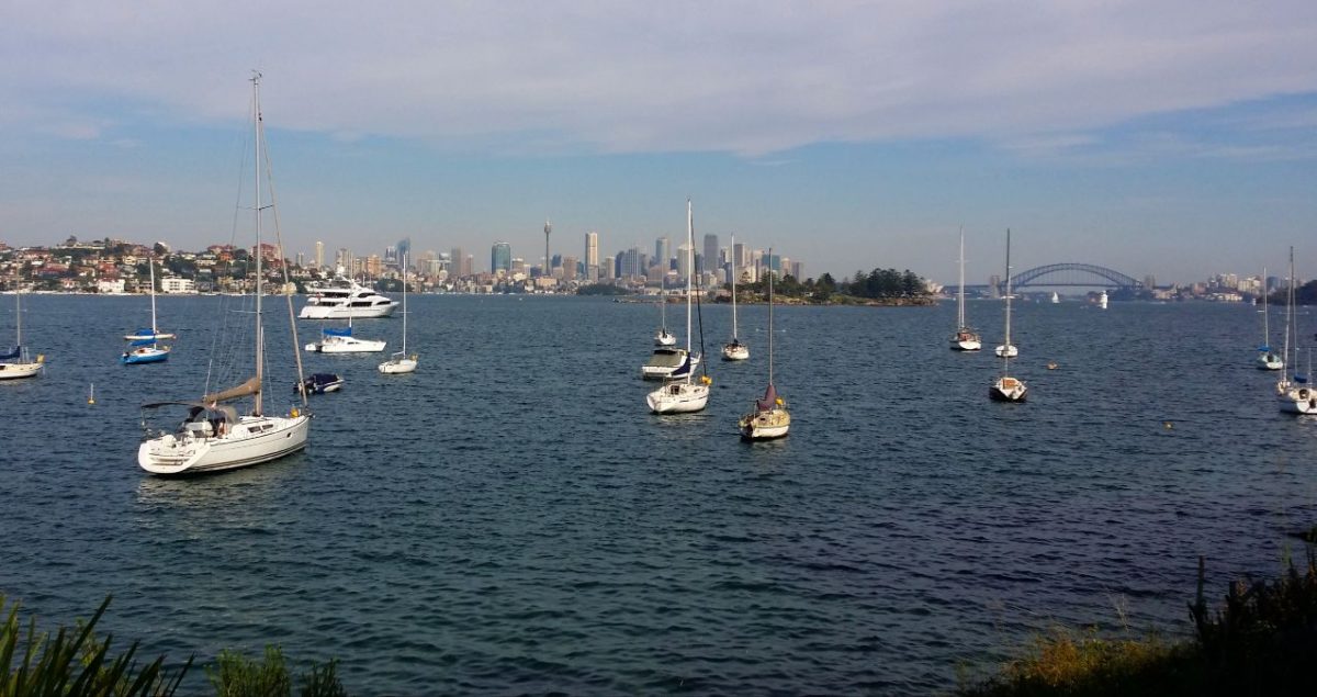 A Photo Guide to the Hermitage Foreshore Walk Rose Bay