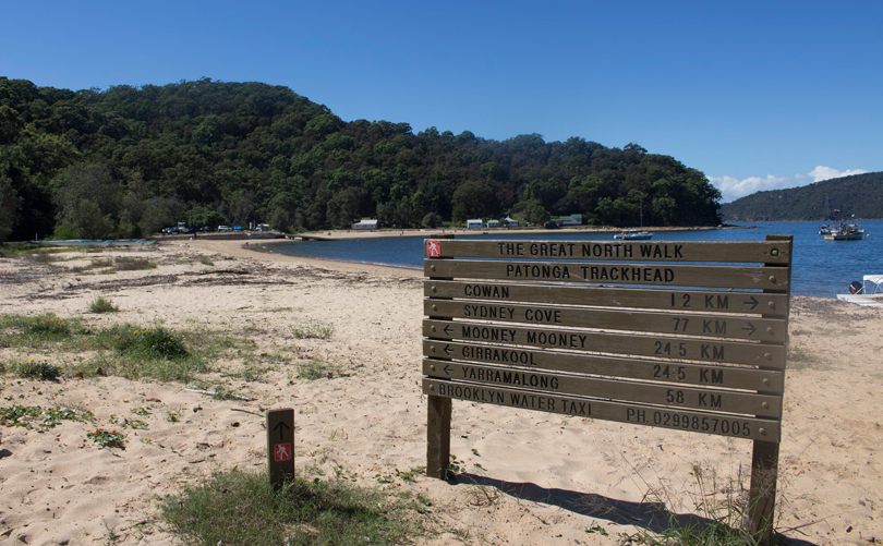 Patonga Beach and the start of the track to Patonga 