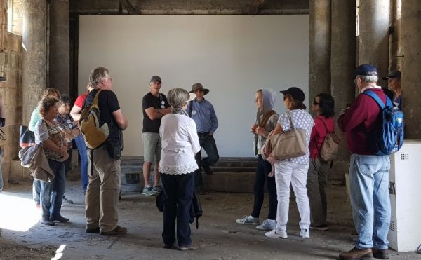 Cockatoo Island History Tour