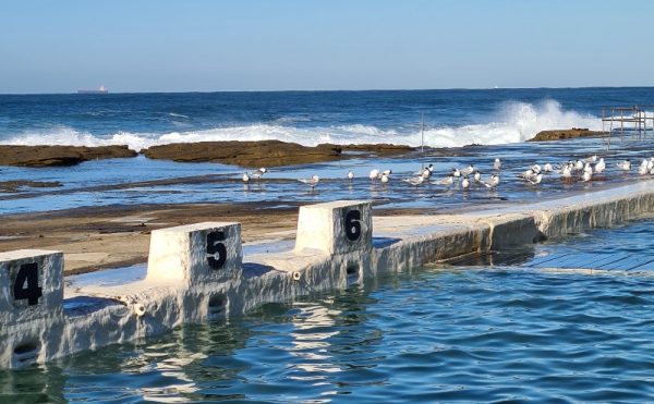 Historic ocean baths Newcastle NSW