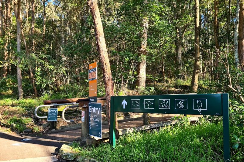 Blackbutt Reserve Newcastle