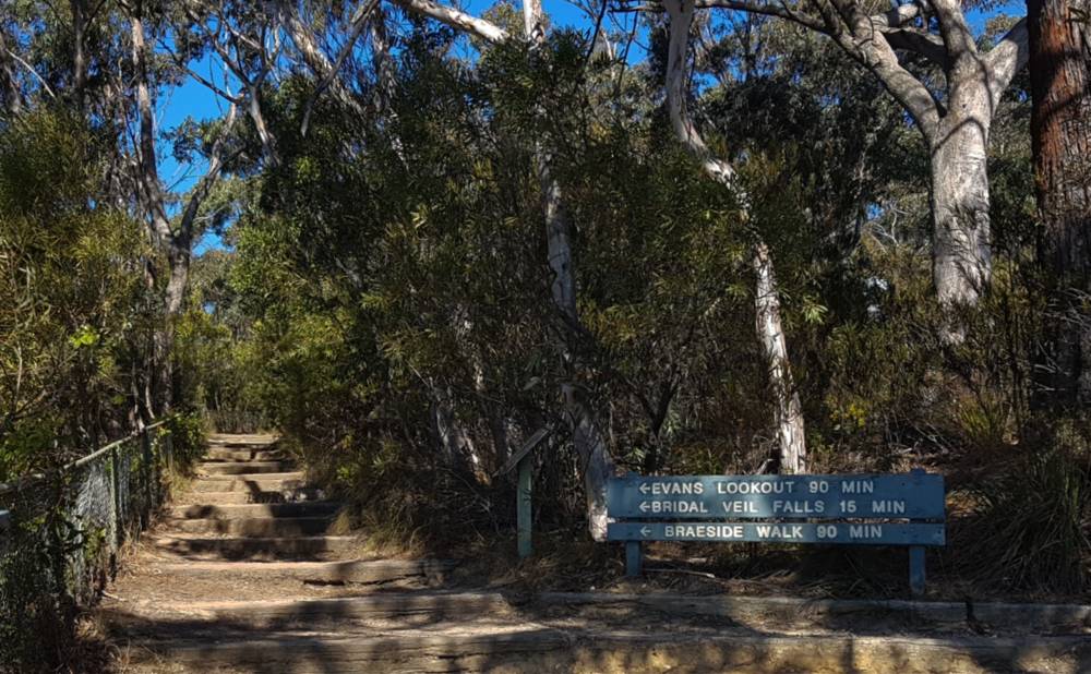 Blue Mountains Walks Cliff Top Walk at Evans Walk Blackheath