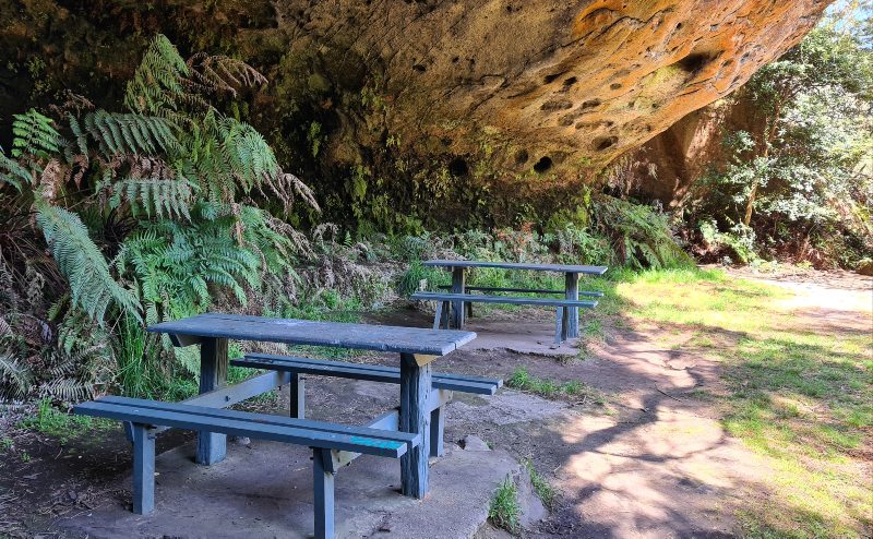 Lyrebird Dell Picnic Spots