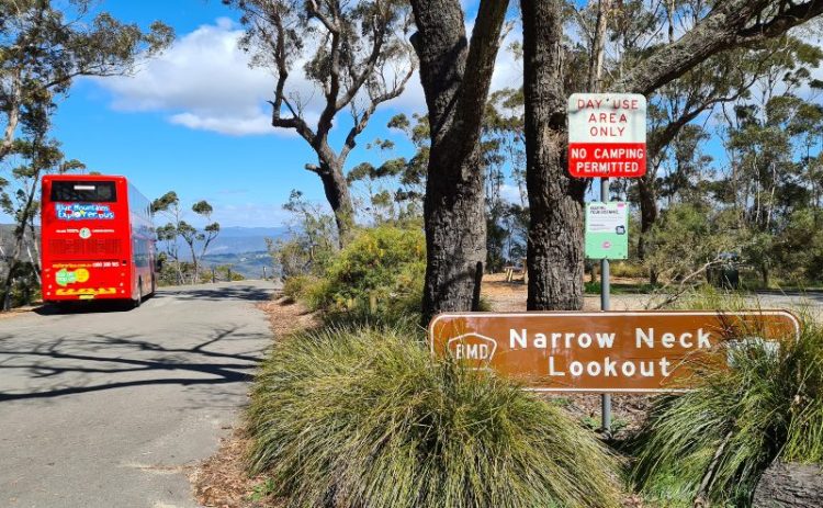 Narrow Neck lookout has a picnic table