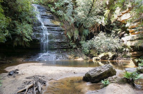 Lyrebird Dell Blue MountainsStephen Alton/DPIE