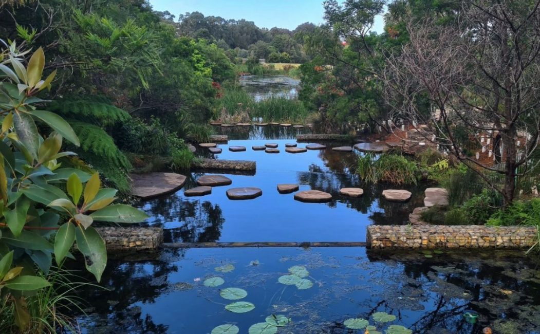 Sydney Park Wetlands Alexandria