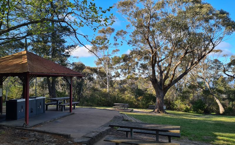 Wentworth Falls Picnic Area 