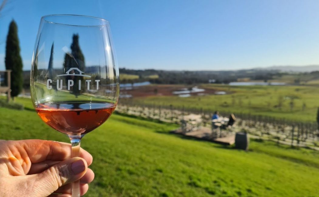Whales and Wine – Two Great Reasons to visit the Shoalhaven