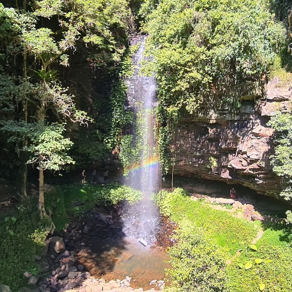 NSW Dorrigo Waterfall