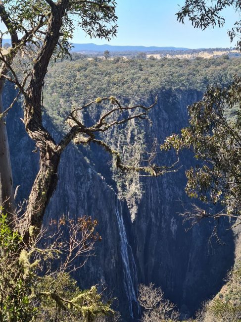 Wollomombi Falls in August 2020 