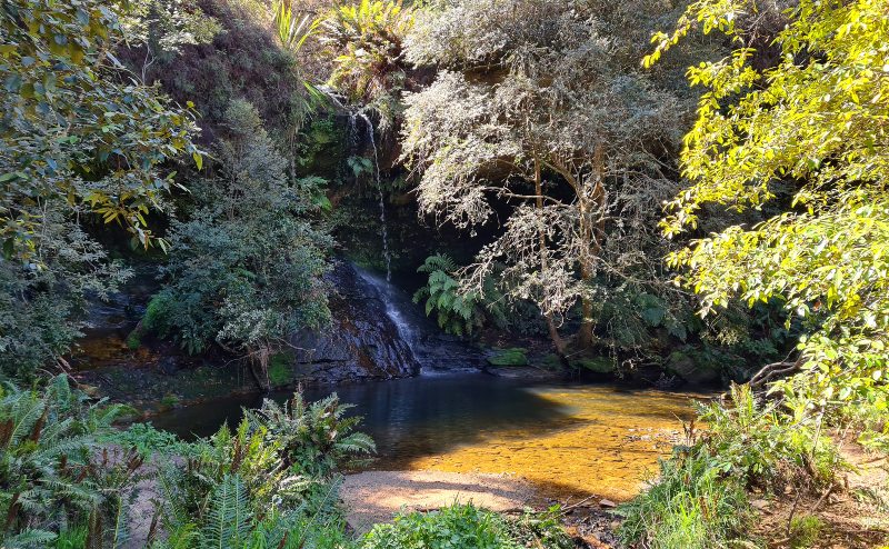 Lyrebird Dell with its small but pretty waterfall in the Blue Mountains