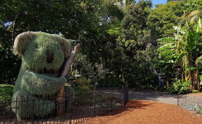 Sydney Botanic Gardens topiary