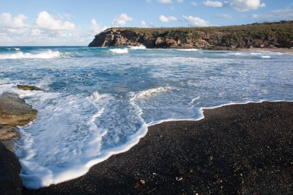 Coast Walking Track