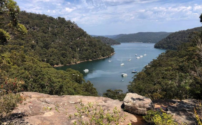 9 Stunning National Parks in Sydney: Highlights +Map