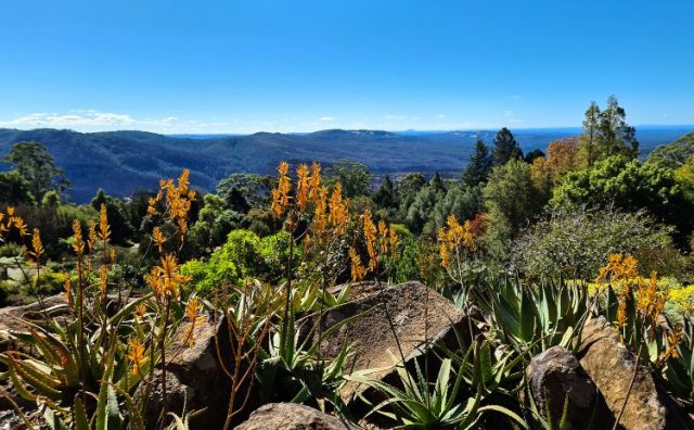 Plan The Perfect Romantic Getaway In The Blue Mountains | Sydney Expert