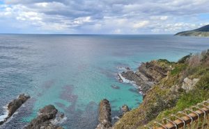 forster lookout head