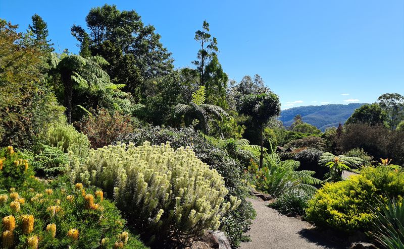 Garden path at Mount Tomah Botanic Gardens Blue Mountains picnic area