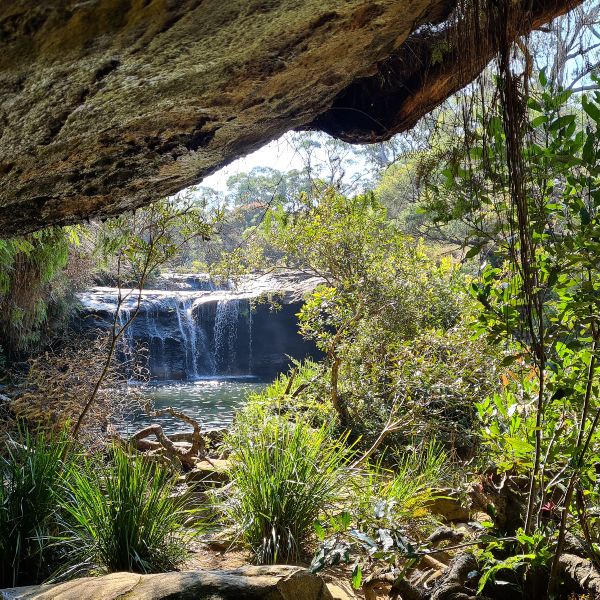 Nellies Glen Waterfall NSW