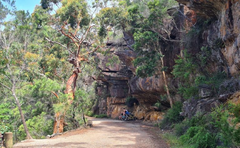 The Best Royal National Park Walks: Guide + Insider Tips