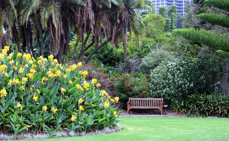 A walk through the Royal Botanic Garden is one of the romantic things to do in Sydney 