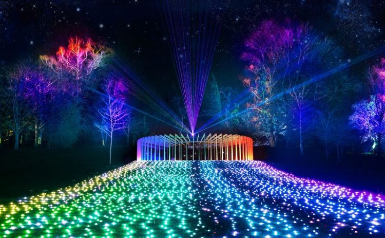 Lightscape in the Royal Botanic Gardens