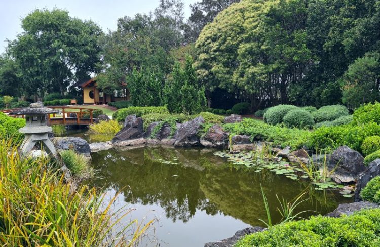 Gosford Japanese garden