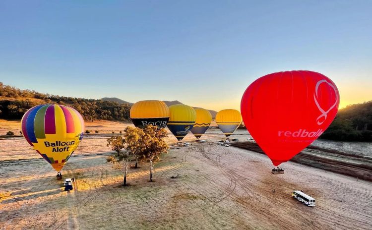 Hot air balloons in the Hunter Valley at sunrise
