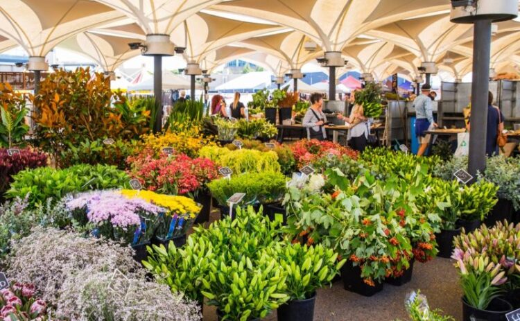 the vibrant Cambridge Markets at EQ in Sydney with stalls offering a diverse array of products and experiences