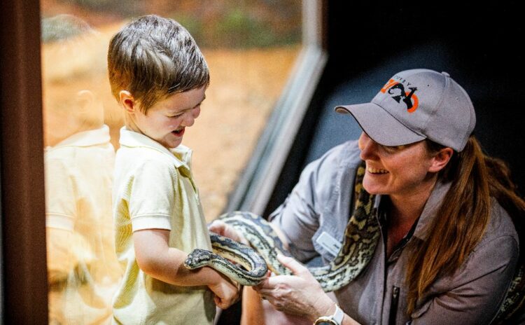 snake encounter at Sydney zoo