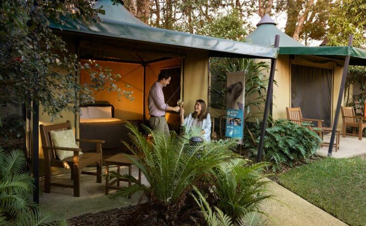 Stay in a tent in Taronga zoo