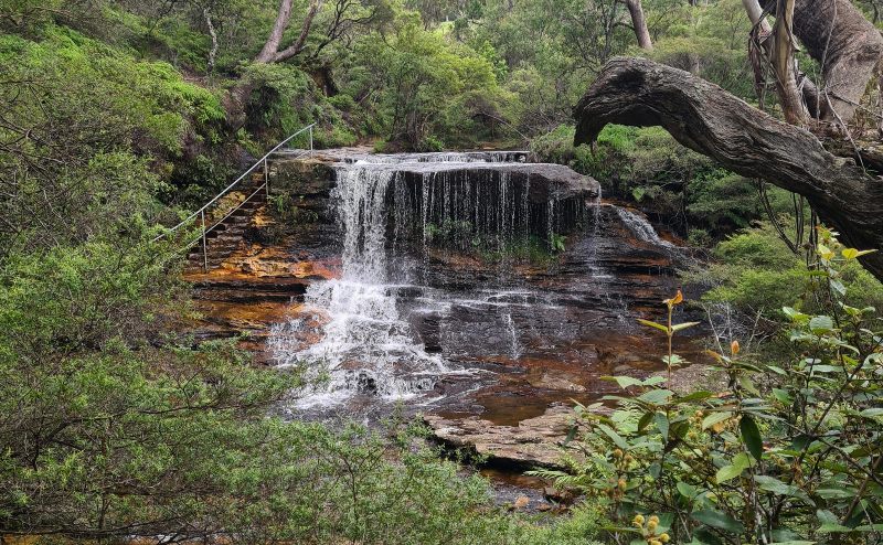 Weeping Rock Wentworthfalls