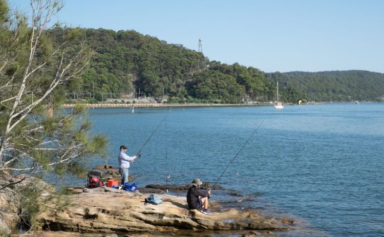 Fishing Brooklyn Hawkesbury River NSW