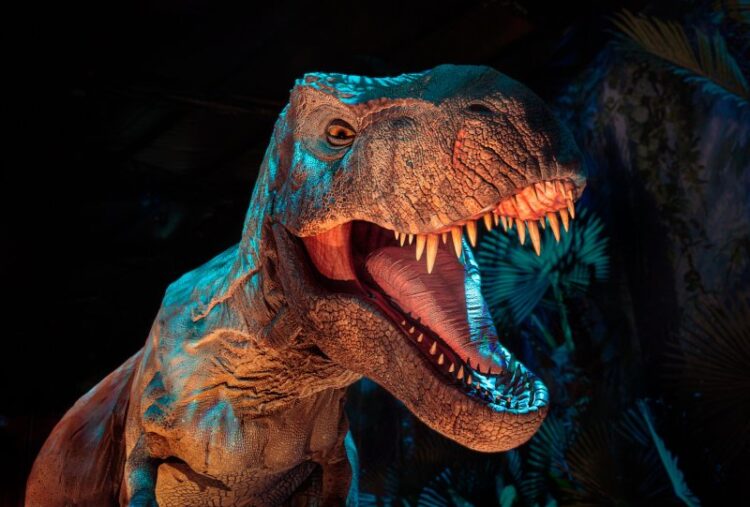 a life-sized animatronic dinosaur in a prehistoric setting for the " Jurassic World: The Exhibition"