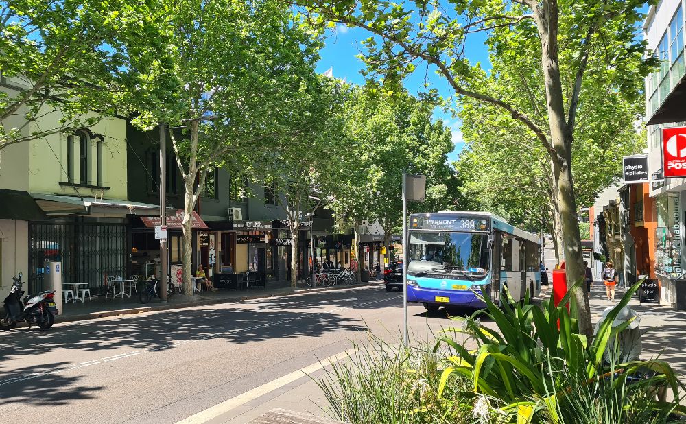 A bus travelling along leafy Harris Street Pyrmont