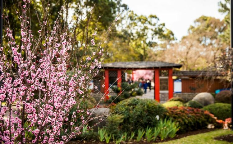 Auburn botanic garden