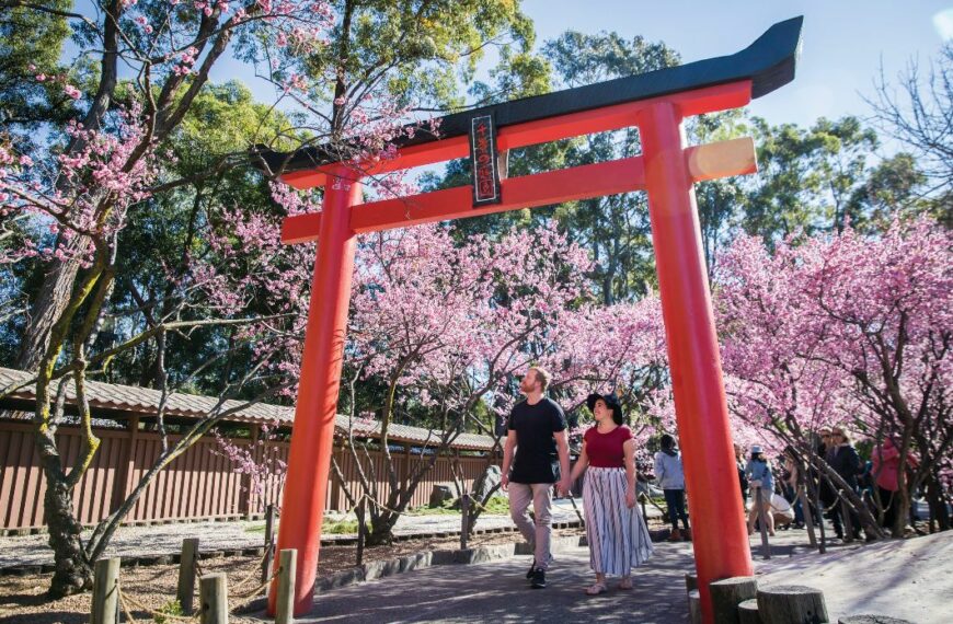 Couple enjoying a day at the Cherry Blossom Festival 2018 in Auburn Botanic Gardens, Sydney.