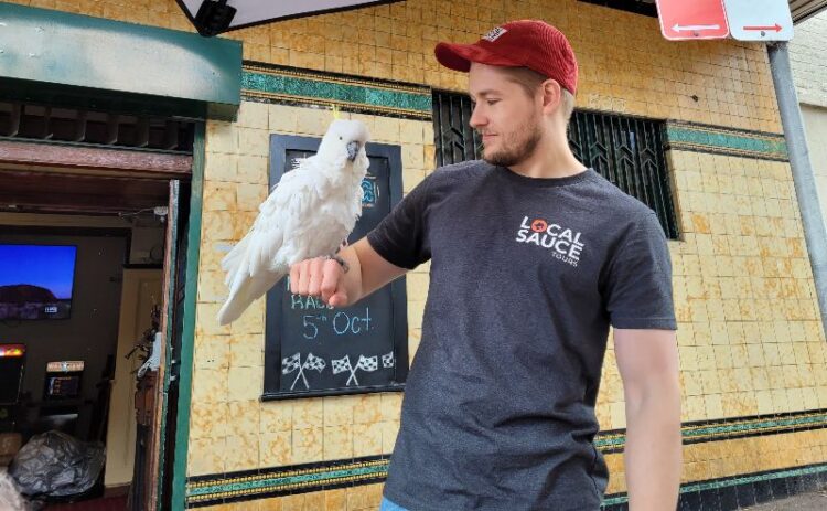 Meeting a sulphur Crested Cockatoo