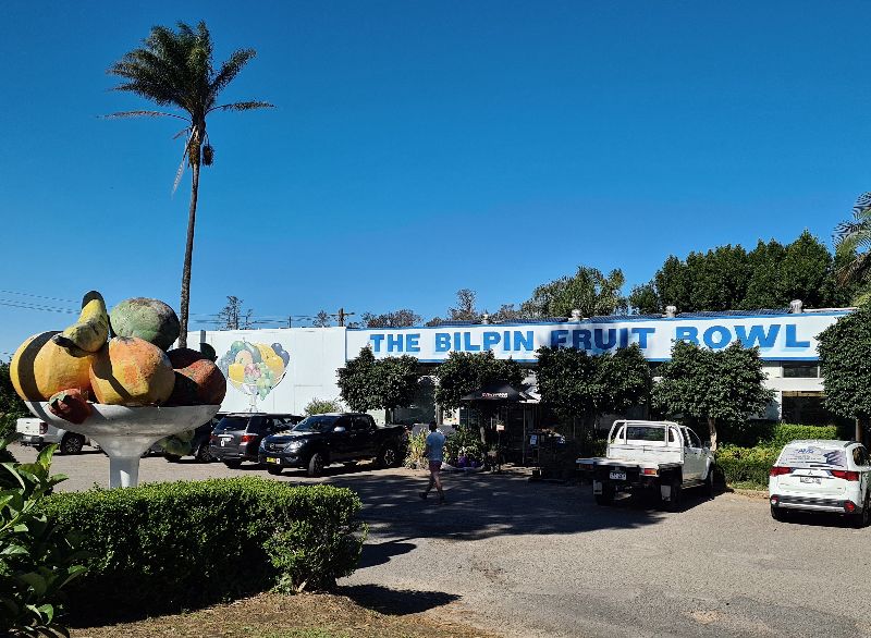 Fruit Picking in Sydney A Seasonal Guide Sydney Expert