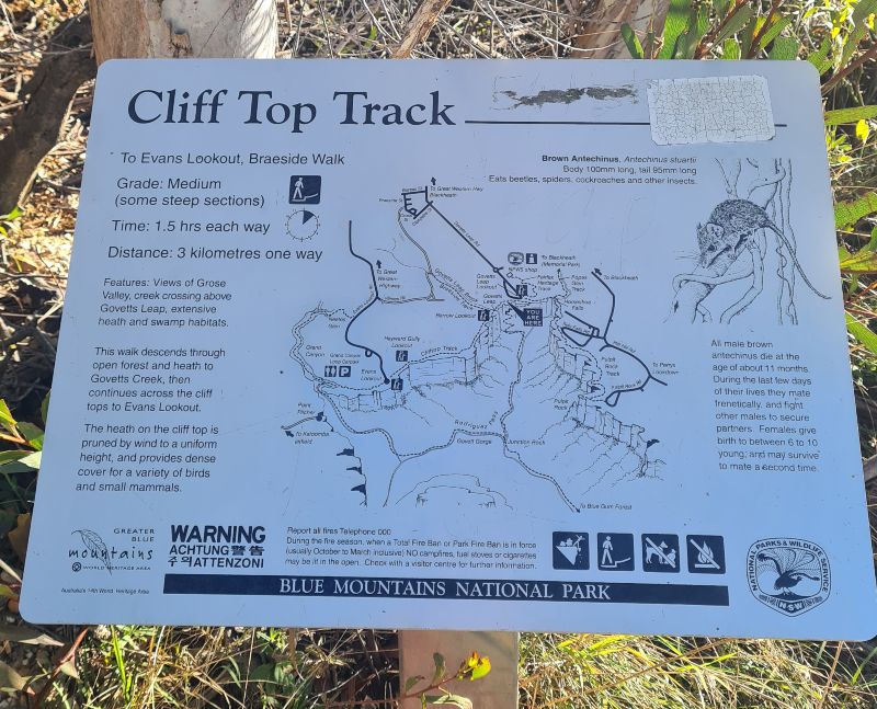 Cliff Top Track Signage Blackheath