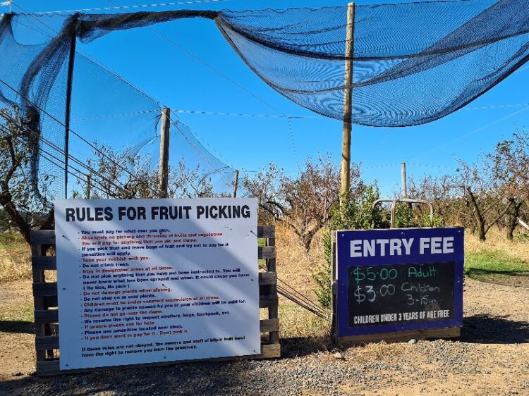 Fruit Picking farms in Sydney sign with farm rules