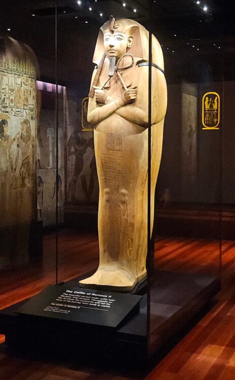 Eygpt Exhibition Australian Museum Ramses II coffin