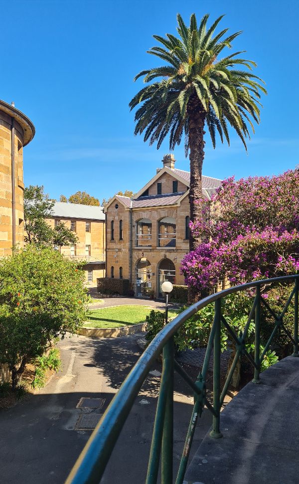 paddingon school arts