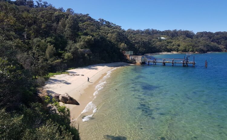 Sydney Harbour Beach