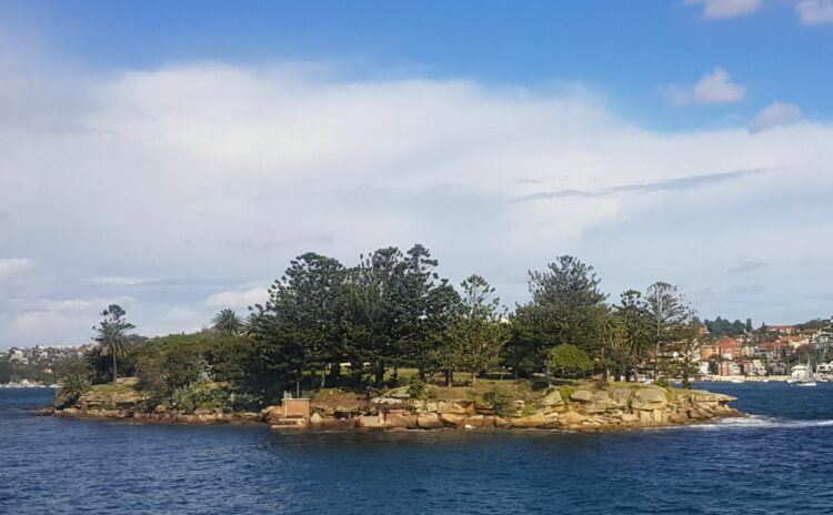 Shark island from the water approach