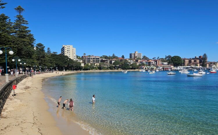 Manly harbour beach 