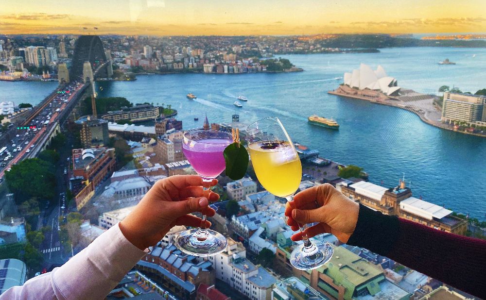 Cocktails with a view of sydney harbour